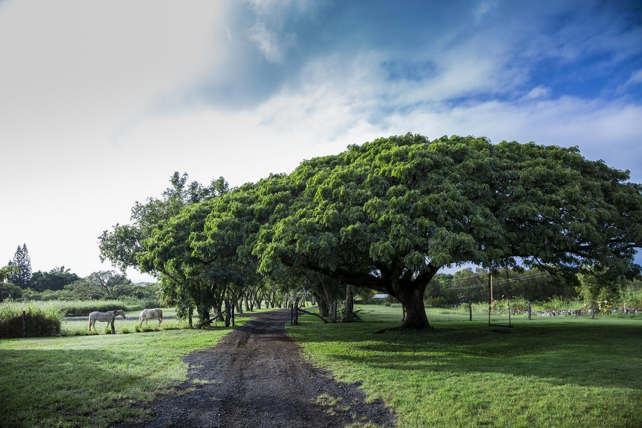 Hotel Puakea Ranch Hawi Exteriér fotografie